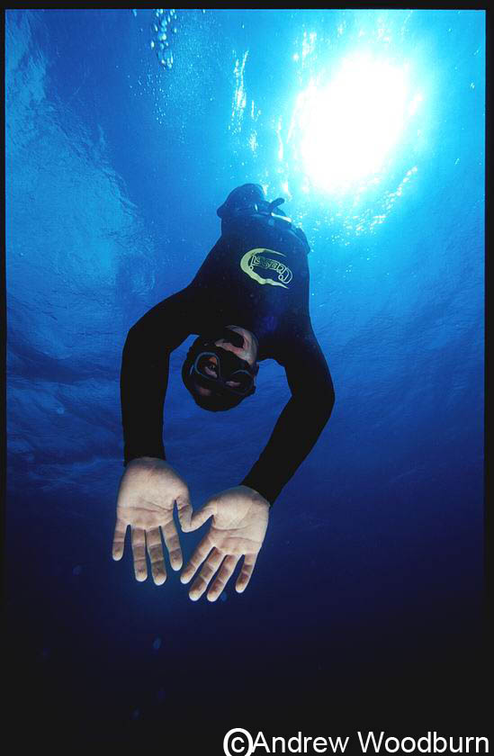 underwater photography of breath hold dive, copyright Andrew Woodburn