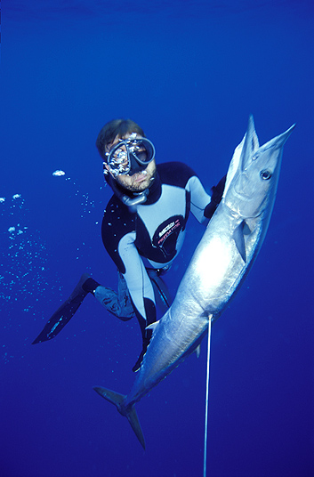 copyright Andrew Woodburn, spearfishing for wahoo in the indian ocean