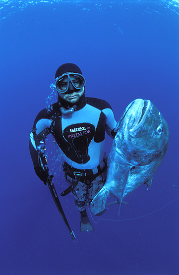 copyright Andrew Woodburn, spearfishing for wahoo in the indian ocean