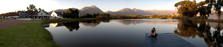 copyright Andrew Woodburn Morgansvlei Vinyard, Tulbagh valley, south africa