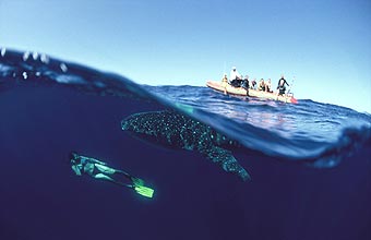 Andrew Woodburns second place in Man and the Environment, Fuji Getaway photographer of the year 2005