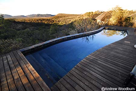 buffalo ridge safari lodge photography madikwe copyright andrew woodburn