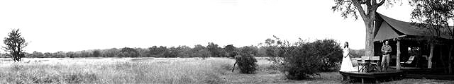 copyright Andrew woodburn www.woodburnphoto.co.za plains camp panoramic view from the main tent across the wild african grassland