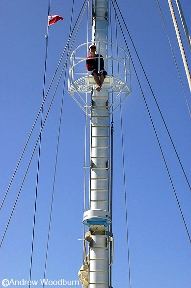 copyright andrew woodburn www.woodburnphoto.co.za sitting in the crowsnest searching for whales, pacific ocean , thar she blows