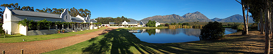 copyright Andrew Woodburn Morgansvlei Vinyard, tulbagh valley south africa