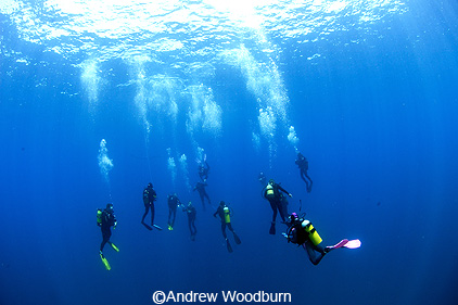 copyright Andrew Woodburn, scuba dive group doing deco stop in tropical clear water