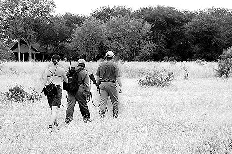 copyright Andrew Woodburn www.woodburnphoto.co.za retruning to plains camp after a 6km walk through wild african bush with game rangers