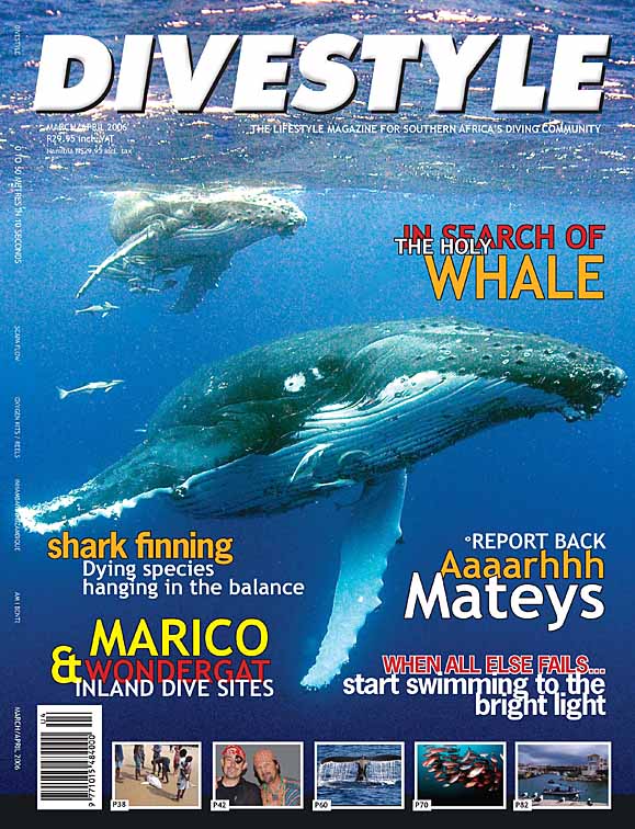 Divestyle magazine cover photo of humpback whale, andrew woodburn